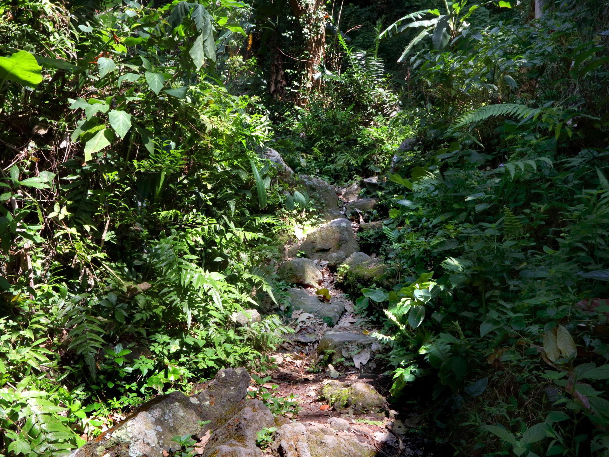 Mimpi Hotel